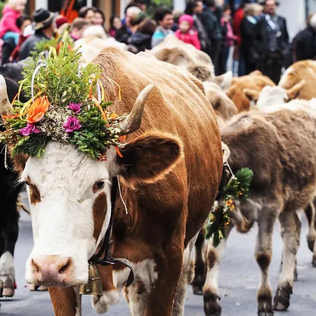 Buckelhof - - Only 20 Min From Ischgl Hotel See