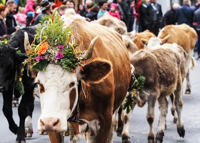 Buckelhof - - Only 20 Min From Ischgl فندق سي