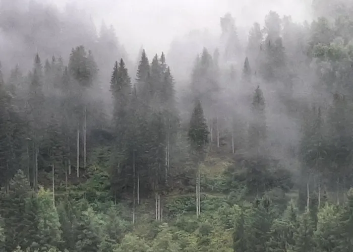 Buckelhof - - Only 20 Min From Ischgl * 湖城