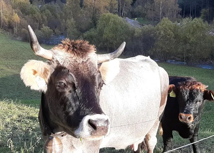 Buckelhof - - Only 20 Min From Ischgl *