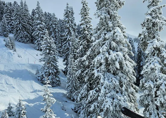 Buckelhof - - Only 20 Min From Ischgl سي