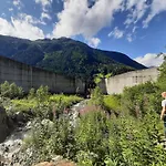 Hotel Buckelhof - - Free Liftpass Summer *