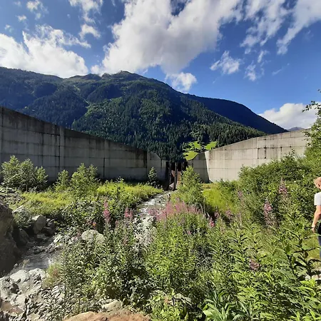 Hotel Buckelhof - - Free Liftpass Summer *