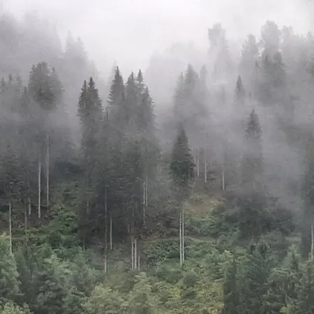 Buckelhof - - Only 20 Min From Ischgl * See